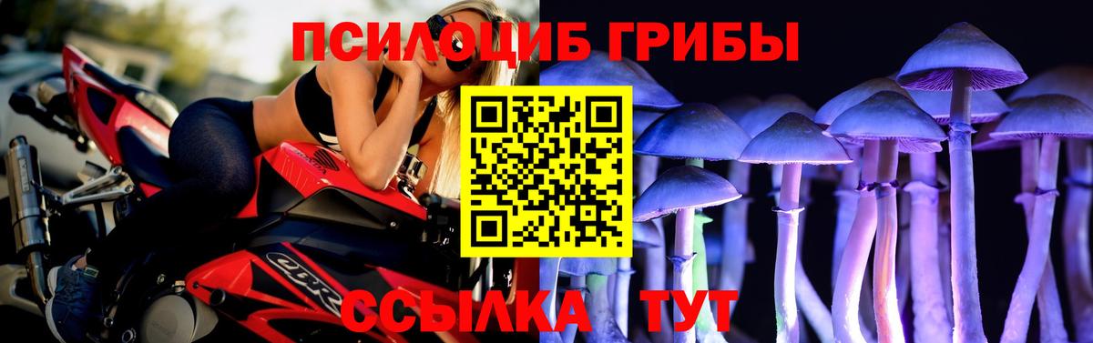 Псилоцибиновые грибы мицелий  Вход с VPN  купить наркотики сайты  Нефтеюганск 